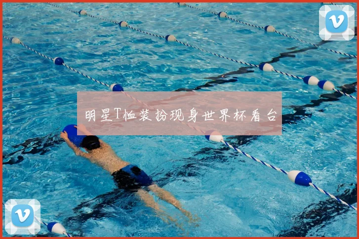 明星T恤装扮现身世界杯看台