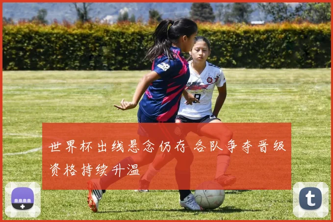 世界杯出线悬念仍存 各队争夺晋级资格持续升温