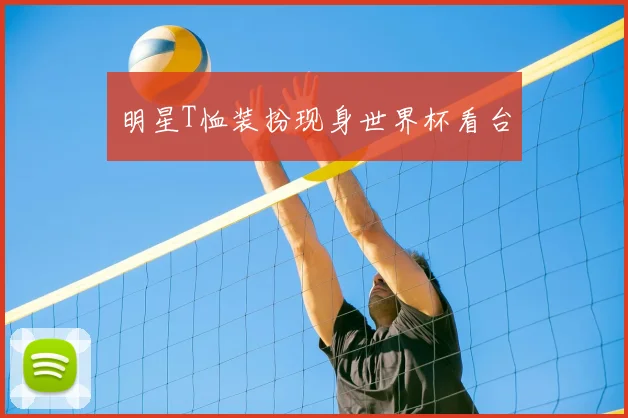 明星T恤装扮现身世界杯看台