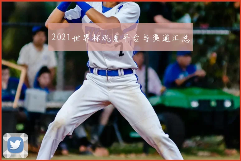2021世界杯观看平台与渠道汇总