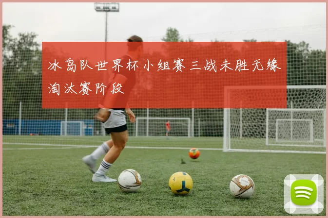 冰岛队世界杯小组赛三战未胜无缘淘汰赛阶段