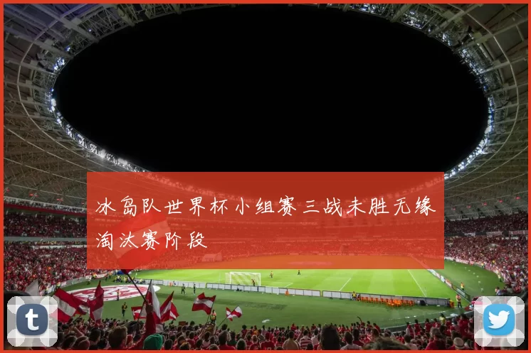 冰岛队世界杯小组赛三战未胜无缘淘汰赛阶段