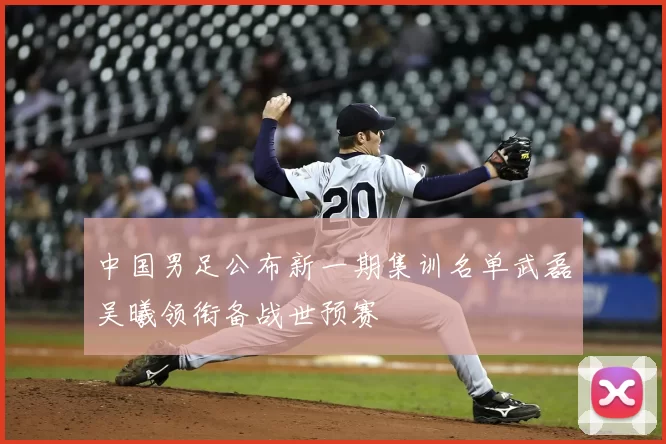 中国男足公布新一期集训名单武磊吴曦领衔备战世预赛