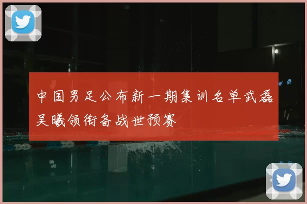 中国男足公布新一期集训名单武磊吴曦领衔备战世预赛
